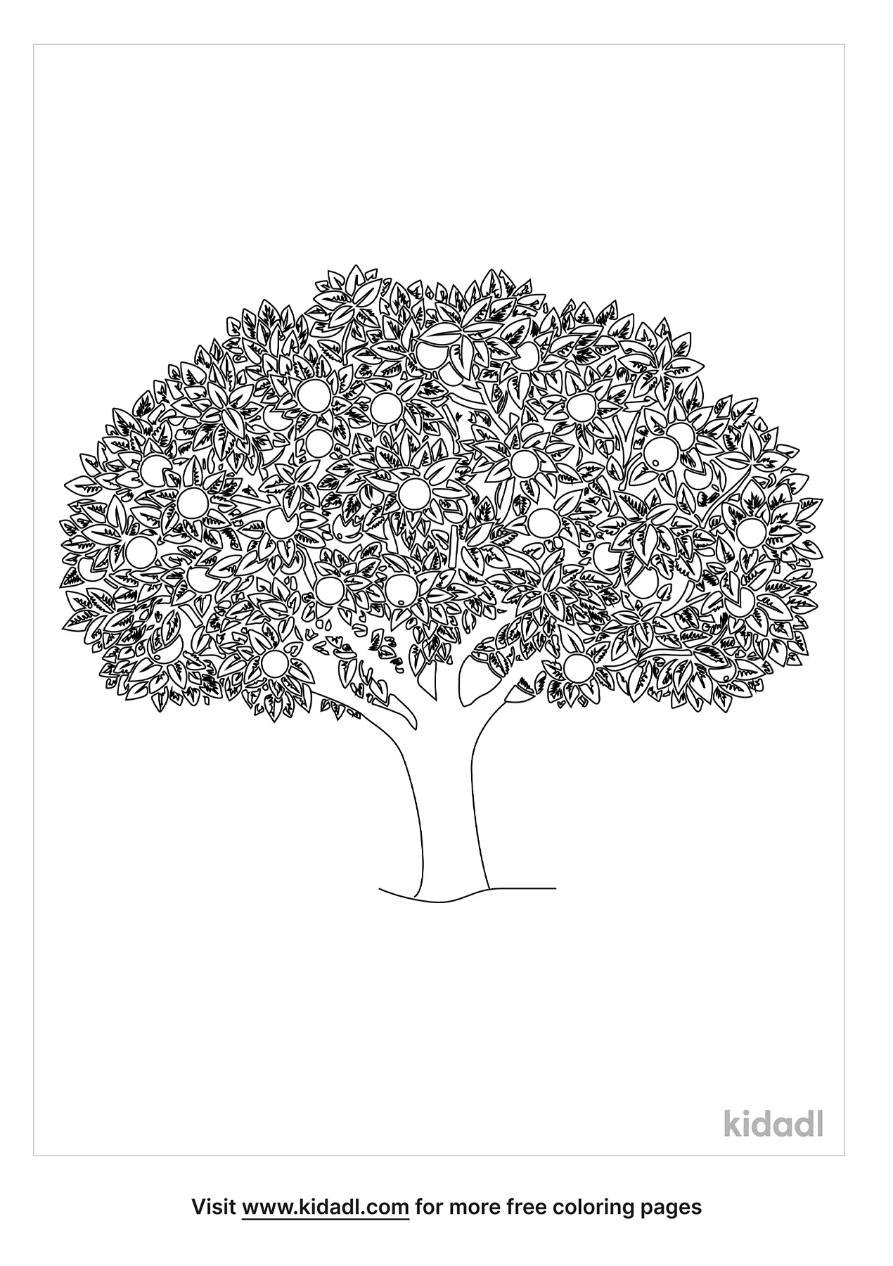 Free realistic apple tree coloring page coloring page printables