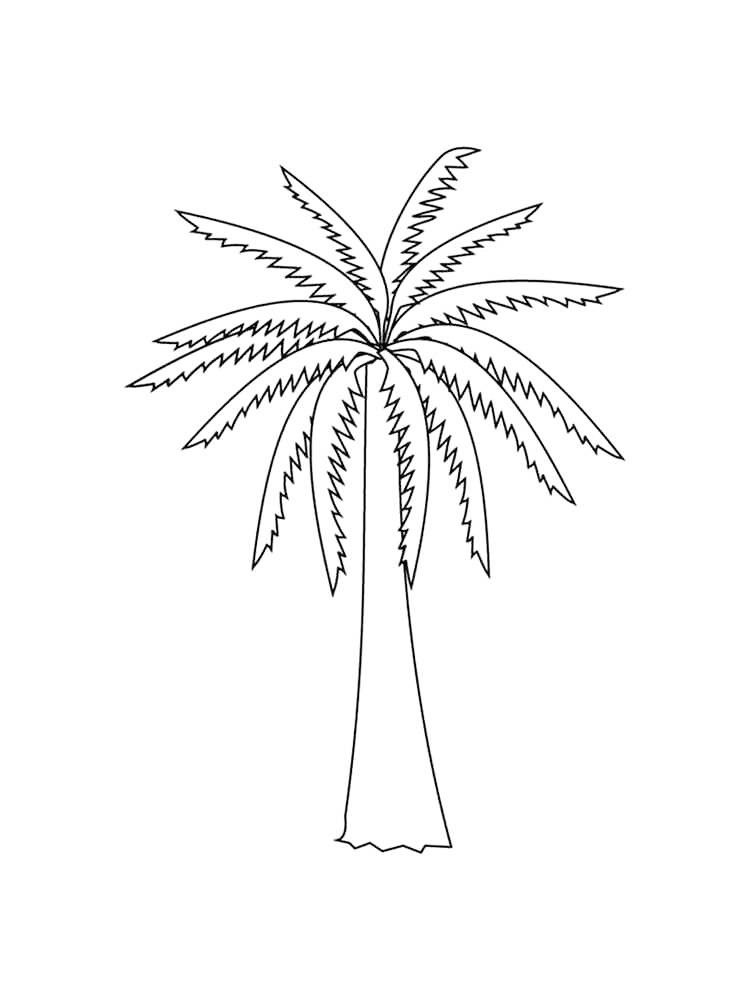 Palm tree coloring pages