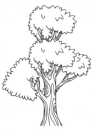 Free printable tree coloring pages for adults and kids