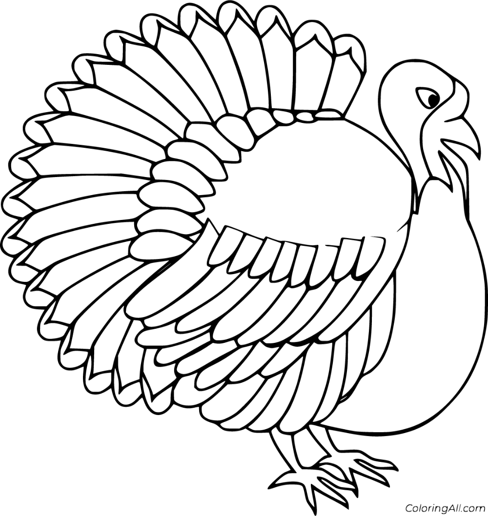 Realistic turkey coloring pages free printable collection