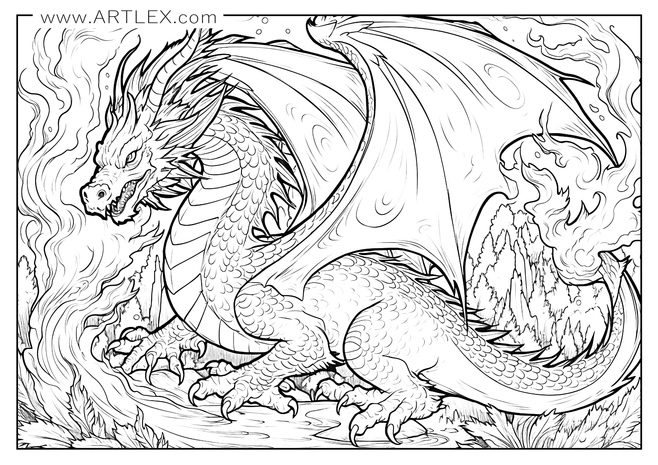 Free dragon coloring pages free printable â