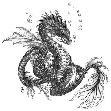 Water dragon work in progress pencil drawing original content yall r dragons