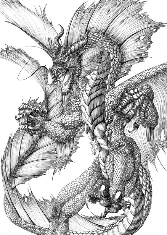 Water dragon dragon drawing dragon pictures dragon images