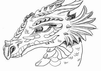 Image result for water dragon coloring pages realistic dragon coloring page adult coloring pages realistic dragon