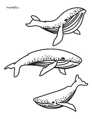 Whale coloring pages