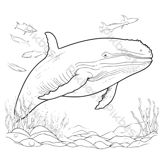 Realistic whale coloring png images free realistic whale coloring transparent pngvector and psd download