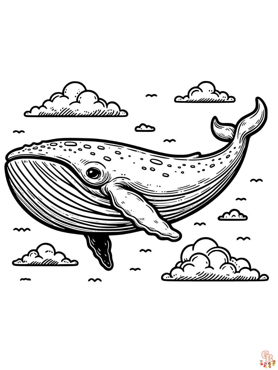 Whale coloring pages