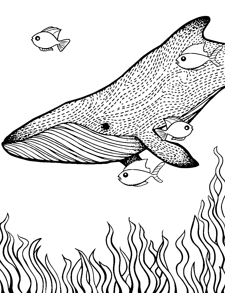 Ocean coloring pages free printable sheets