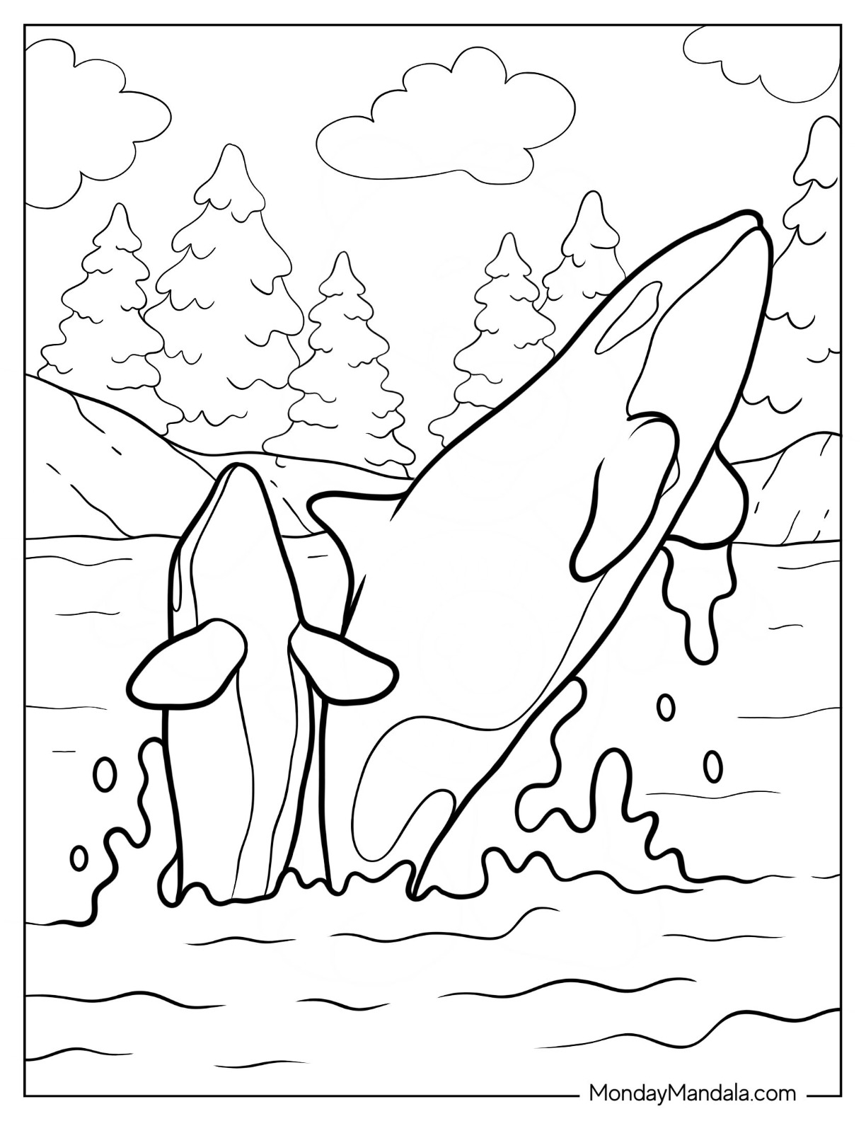 Killer whale coloring pages free pdf printables