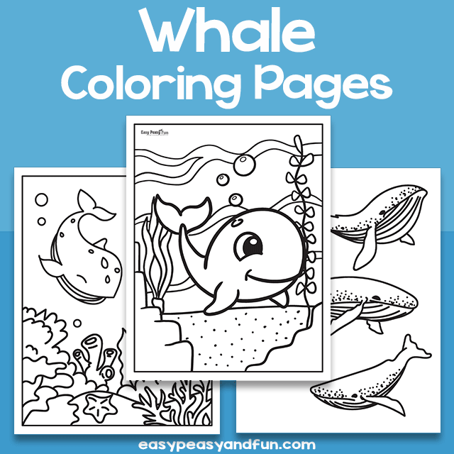 Whale coloring pages