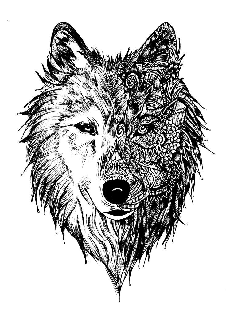 Wolf coloring pages for adults