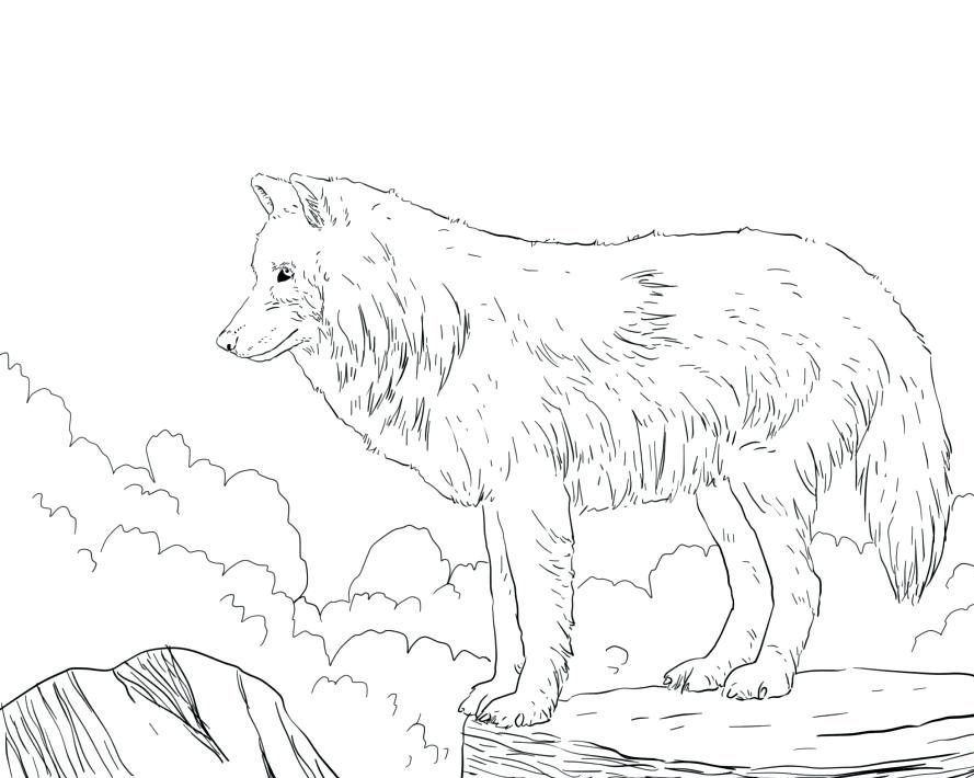 Wolf coloring pages for adults