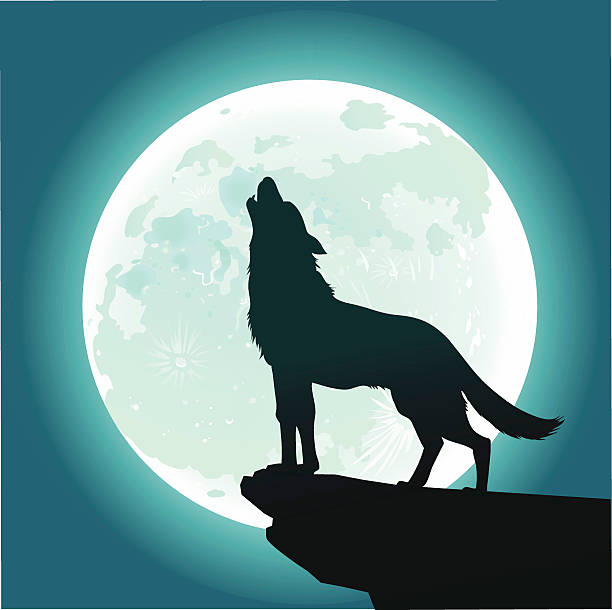 Wolf howling at moon stock illustrations royalty