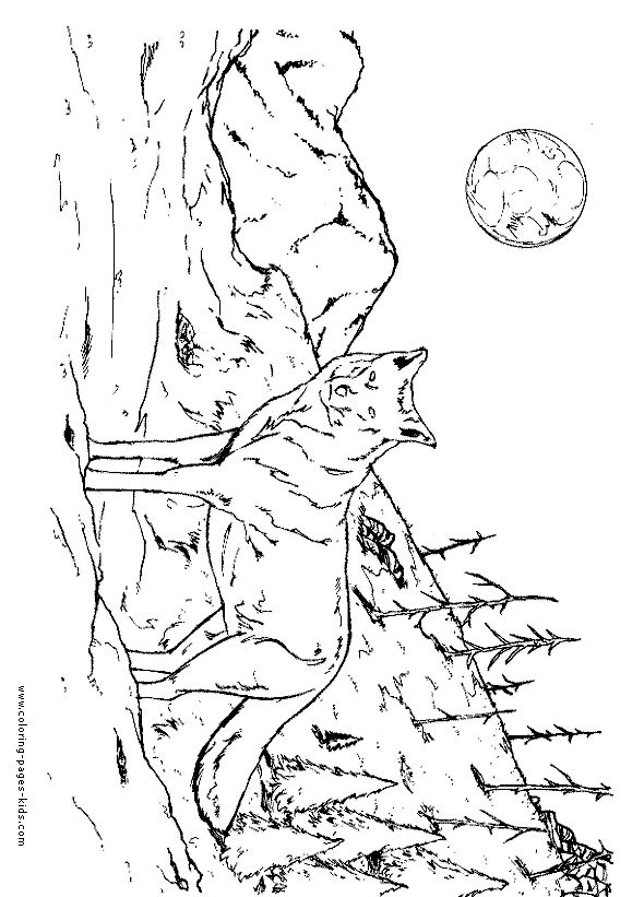 Majestic wolf coloring page