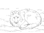 Realistic wolf coloring page free printable coloring pages