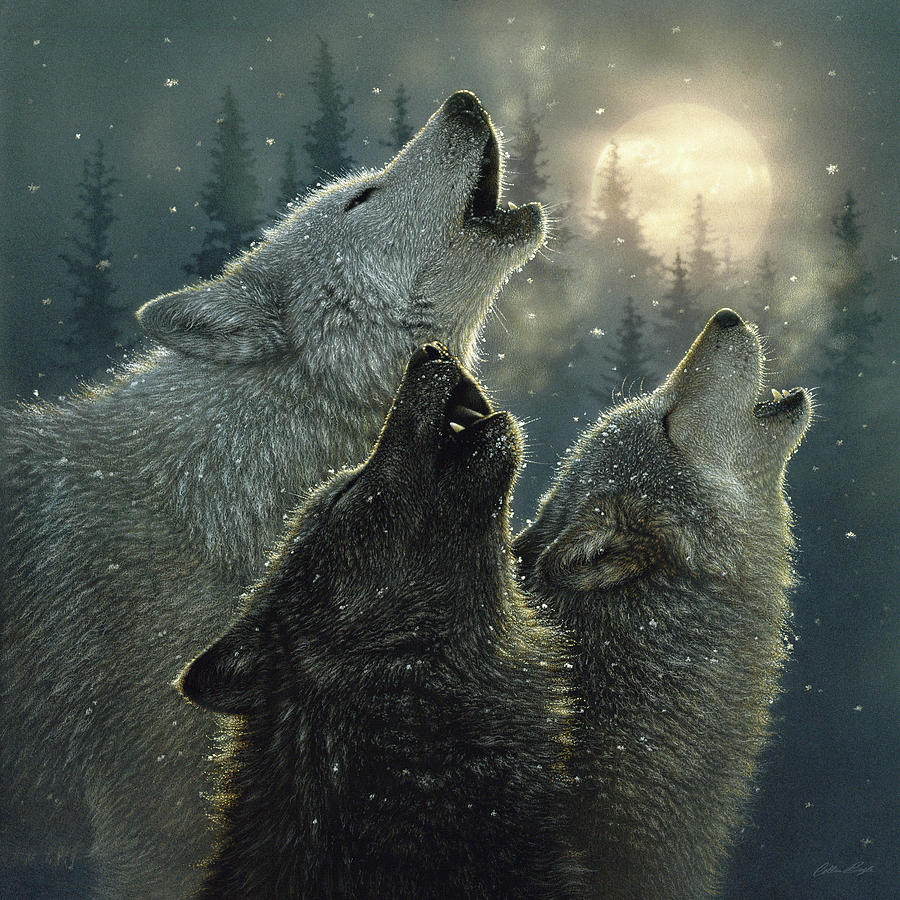 Wolves howling moon