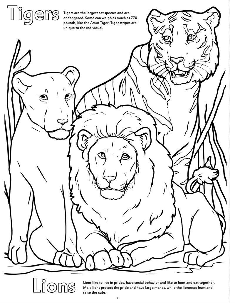 Zoo animals really big coloring book x