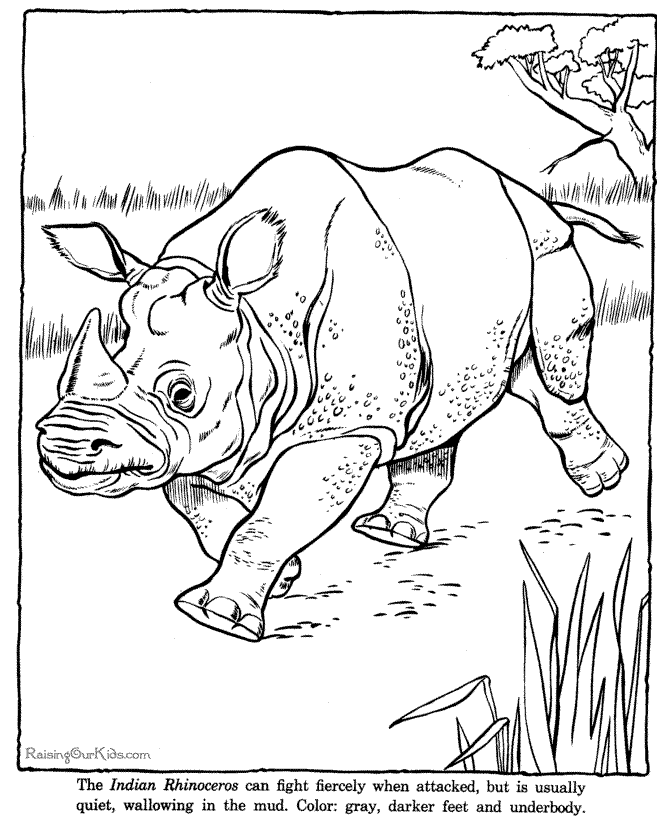 Rhino zoo coloring page