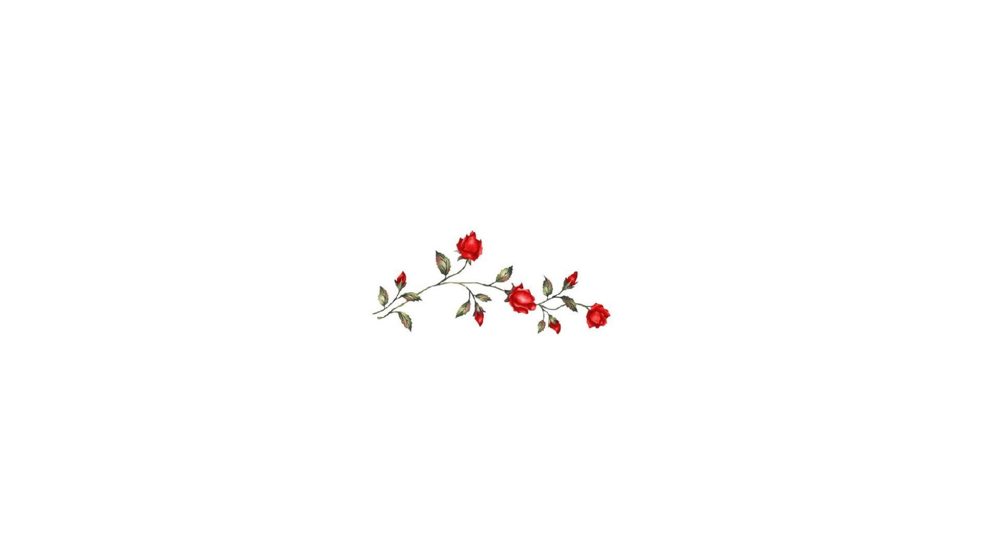 Download red roses on aesthetic white wallpaper