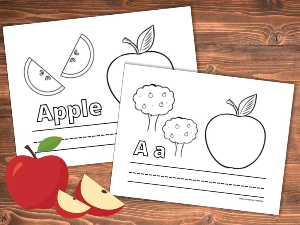 The best apple coloring pages for fall