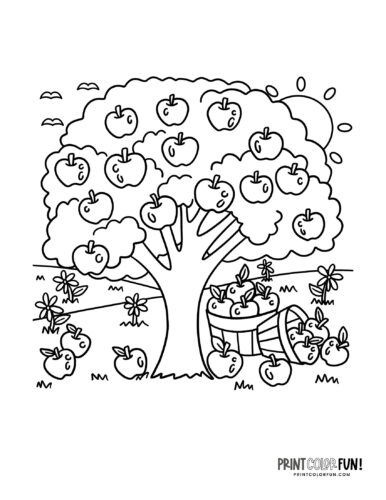 Apple clipart coloring pages to celebrate the autumn apple season at