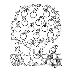 Top apple coloring pages for your little ones