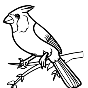 Cardinal coloring pages printable for free download