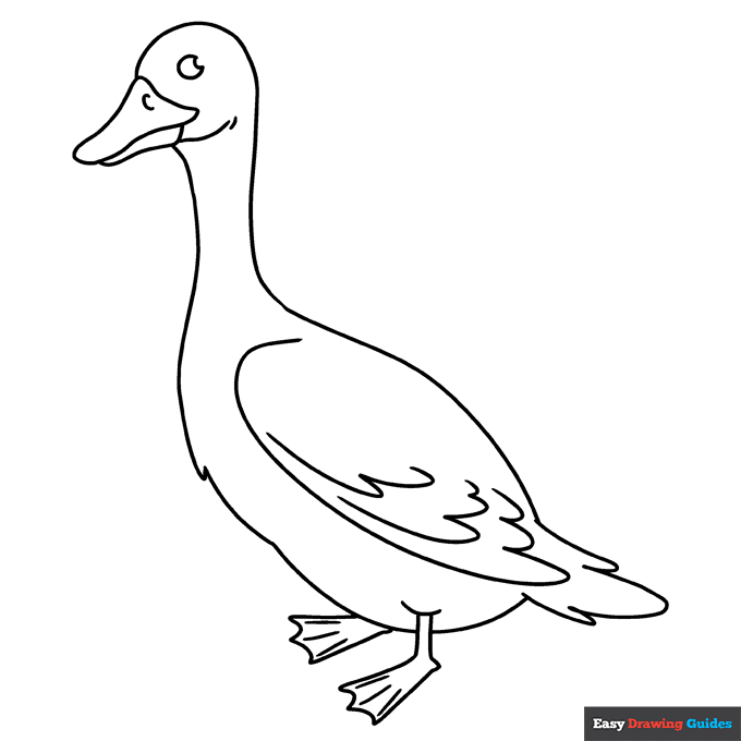 Free printable bird coloring pages for kids