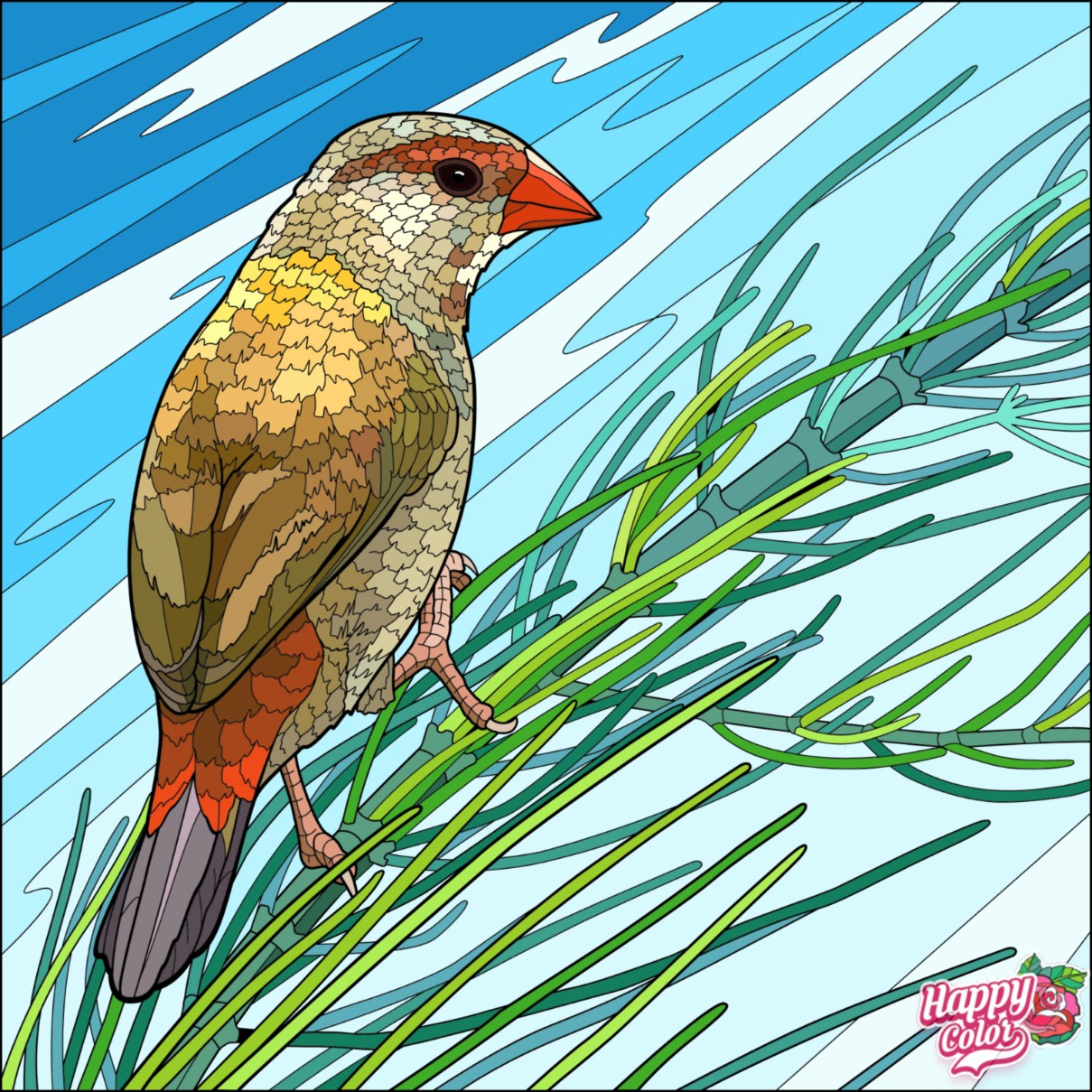 Coloring page bird rwhatsthisbird