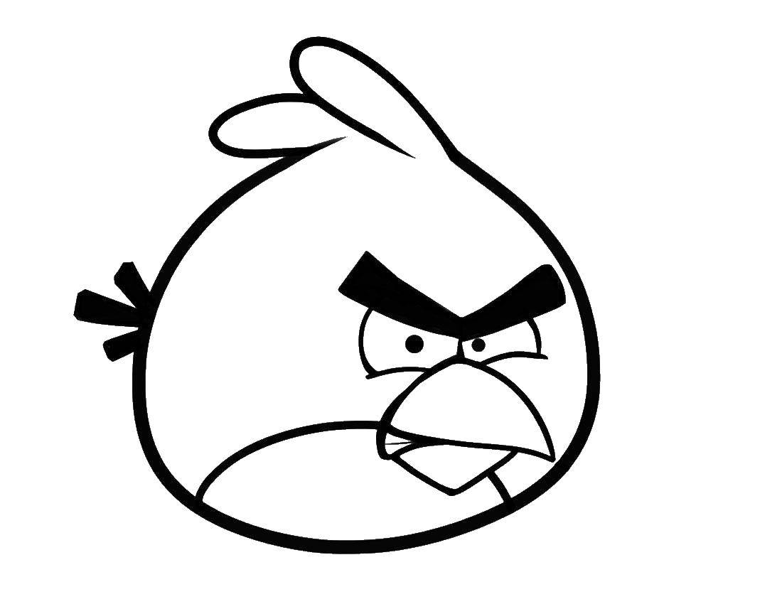 Online coloring pages birds coloring red bird angry birds