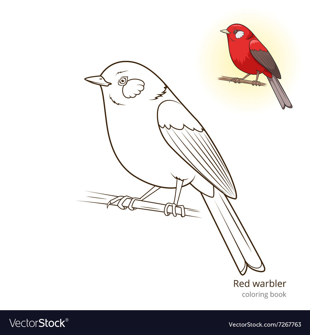 Red warbler bird coloring book royalty free vector image