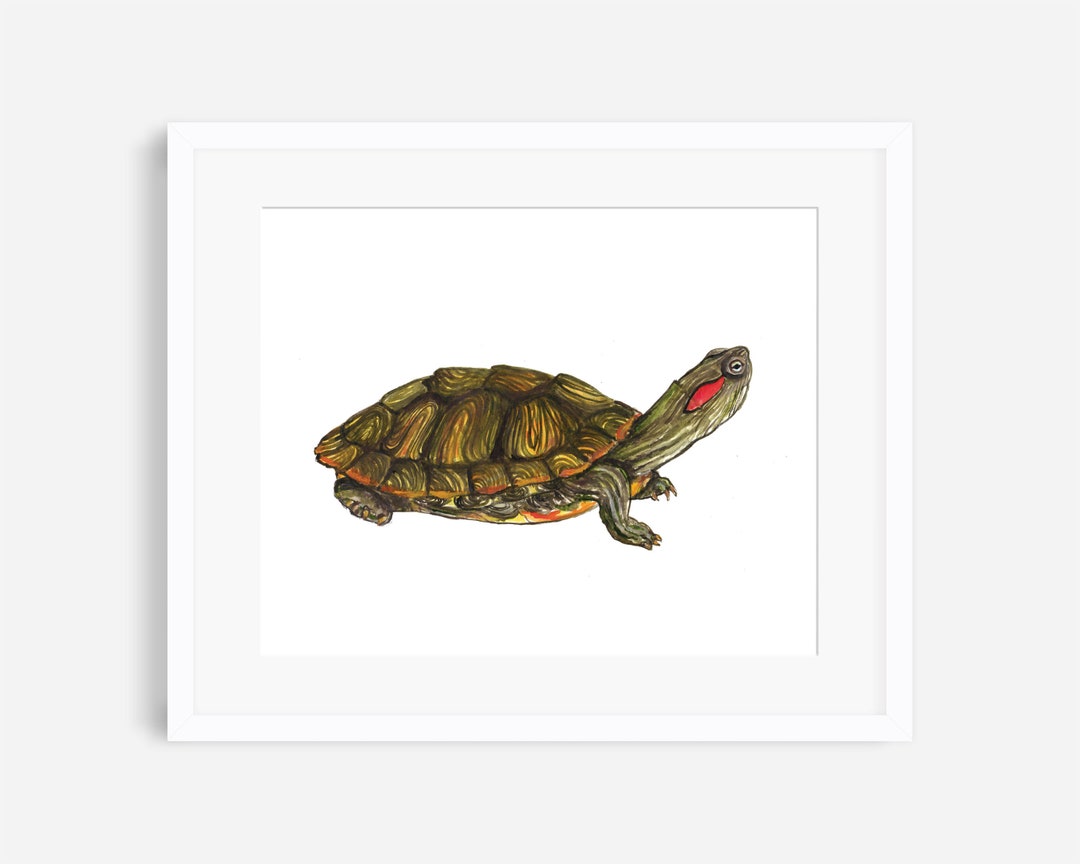 Red eared slider turtle print turtle art turtle painting nature wall art animal nursery wildlife art turtle wall art kids room