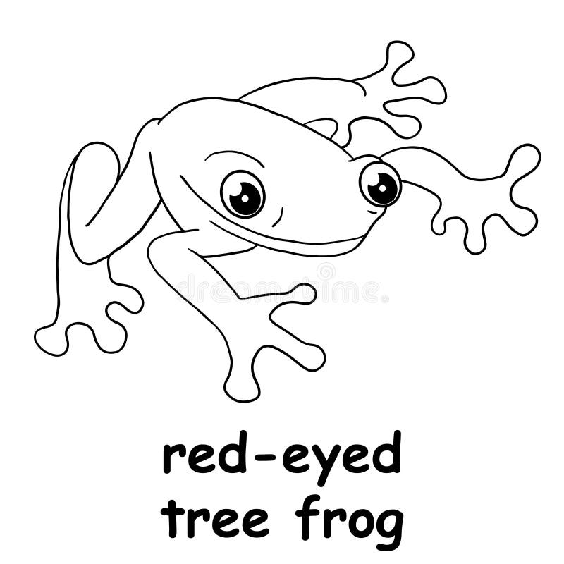 Kids line illustration coloring red eyed tree frog outline vector for children stock vector