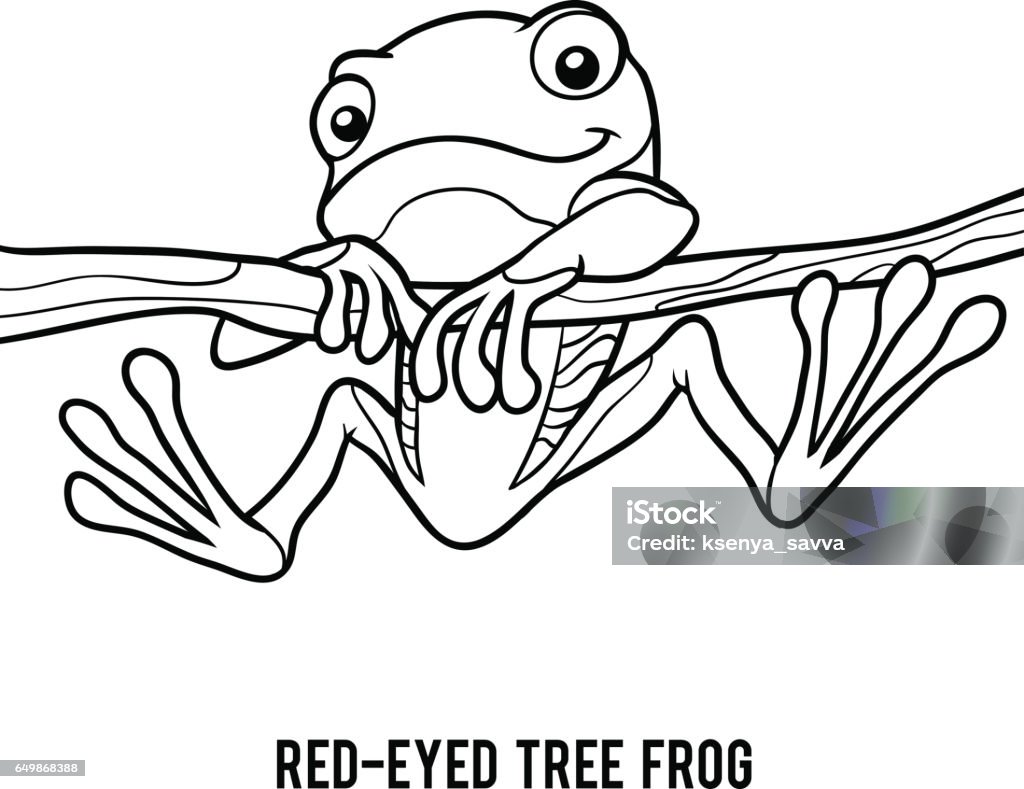 Coloring book redeyed tree frog stock illustration