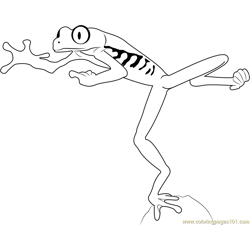 Red eyed tree frog jumping coloring page for kids