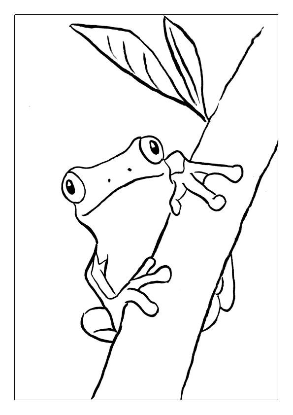 Frog coloring pages free printable coloring sheets for kids