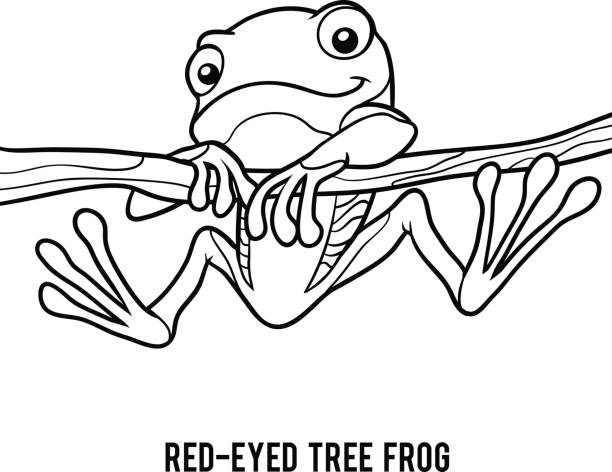 Coloring book redeyed tree frog stock illustration