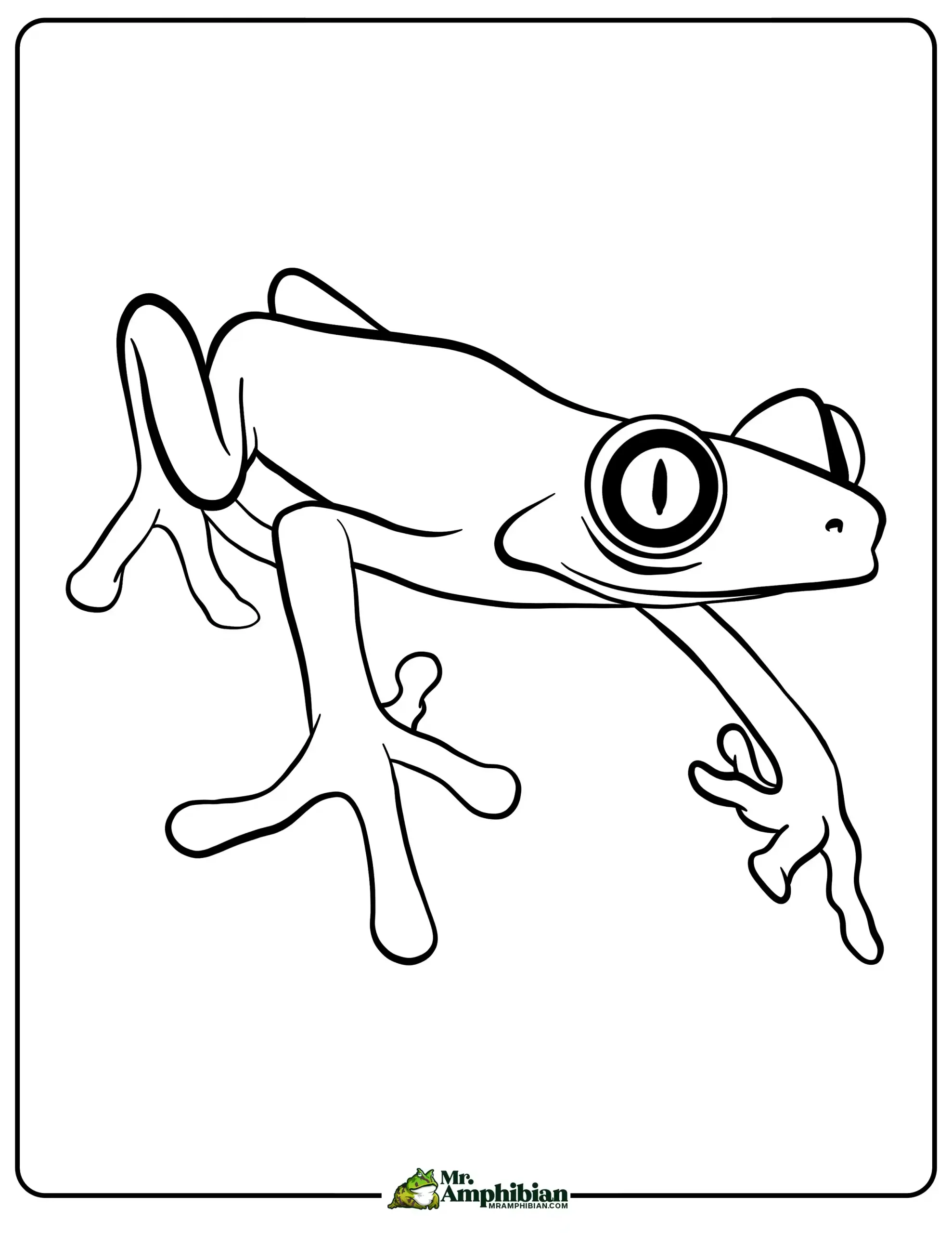 Frog coloring pages printable