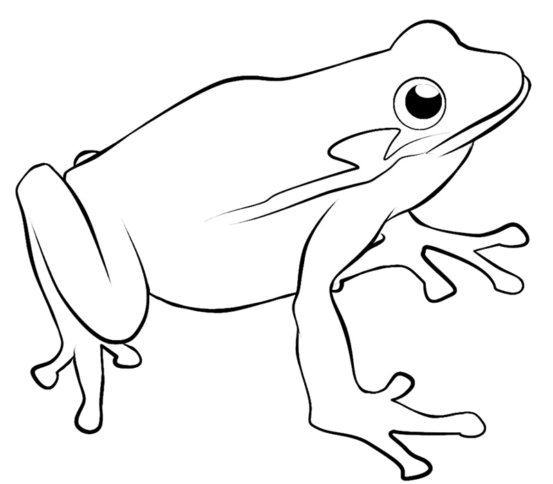 Free red eyed tree frog coloring page download free red eyed tree frog coloring page png images free cliparts on clipart library