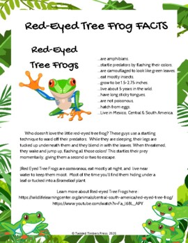 Rain forest fact card and coloring page