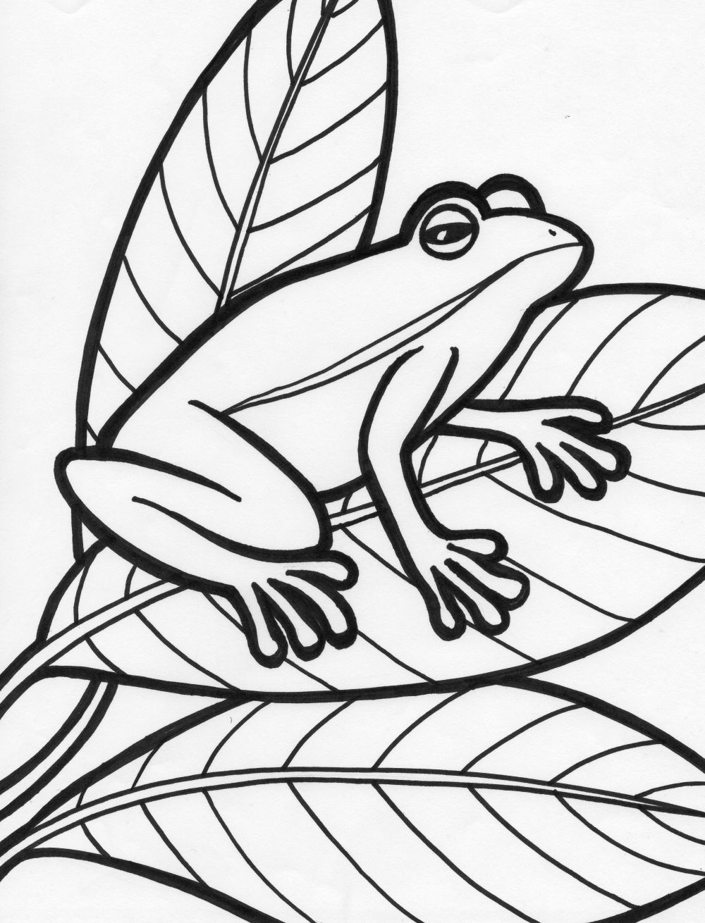 Free printable frog coloring pages for kids