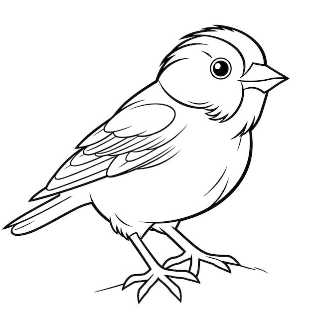 Premium vector finch coloring pages vector animals