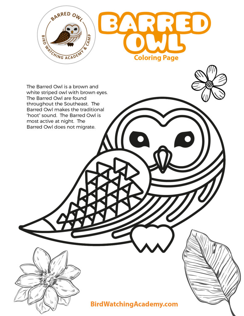 Bird coloring pages