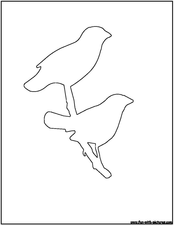 Finch outline coloring page bird outline bird template coloring pages