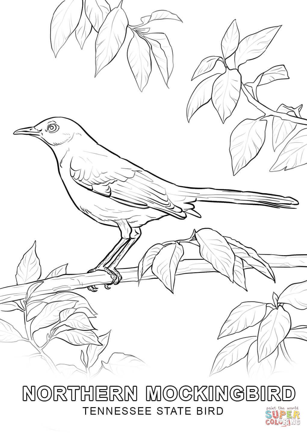 Bird coloring pages coloring pages nature flower coloring pages