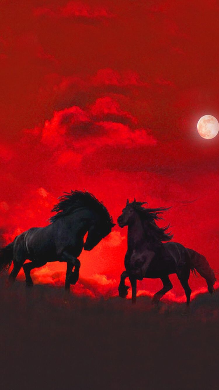 Red horse wallpapers