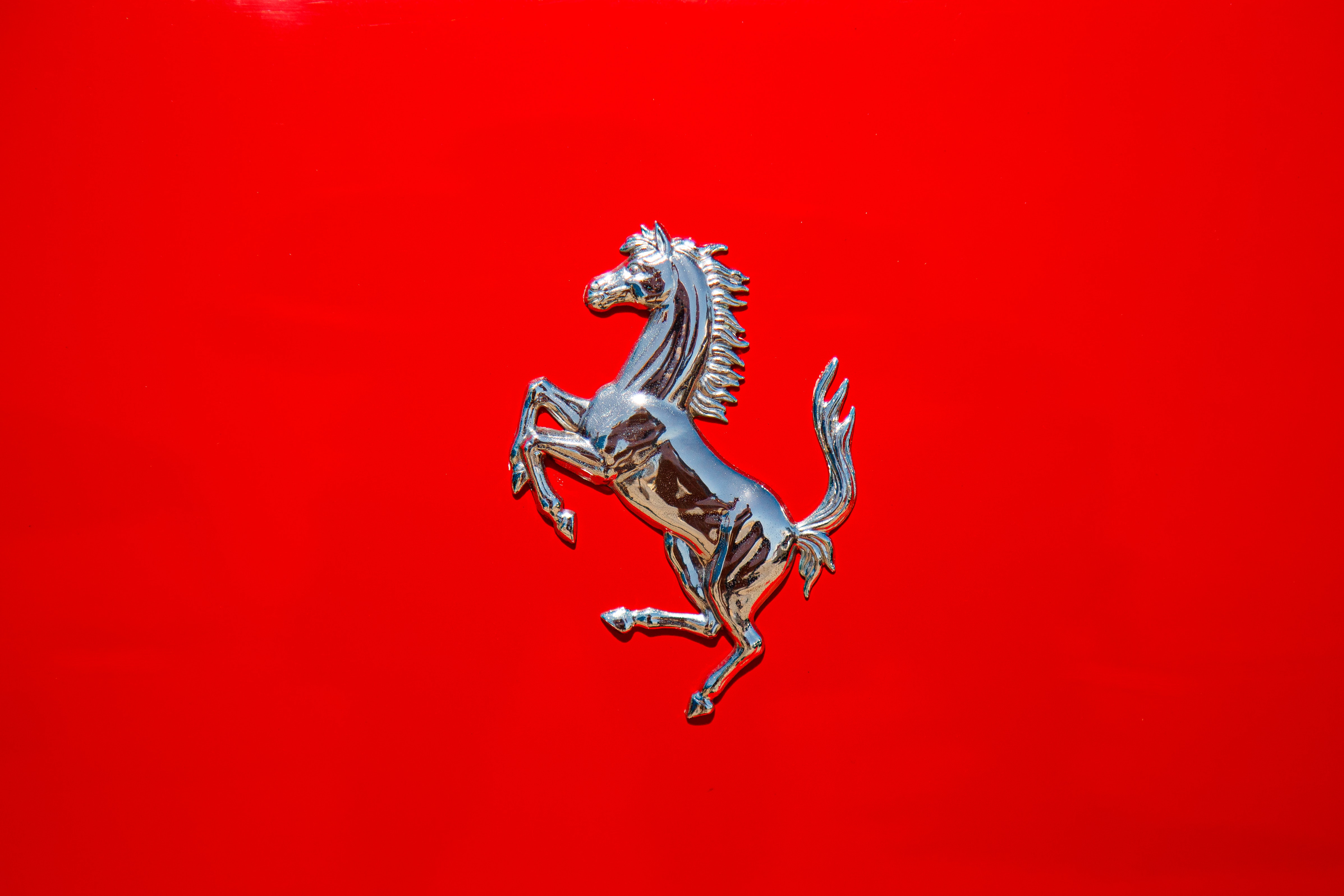 Red horse photos download free red horse stock photos hd images