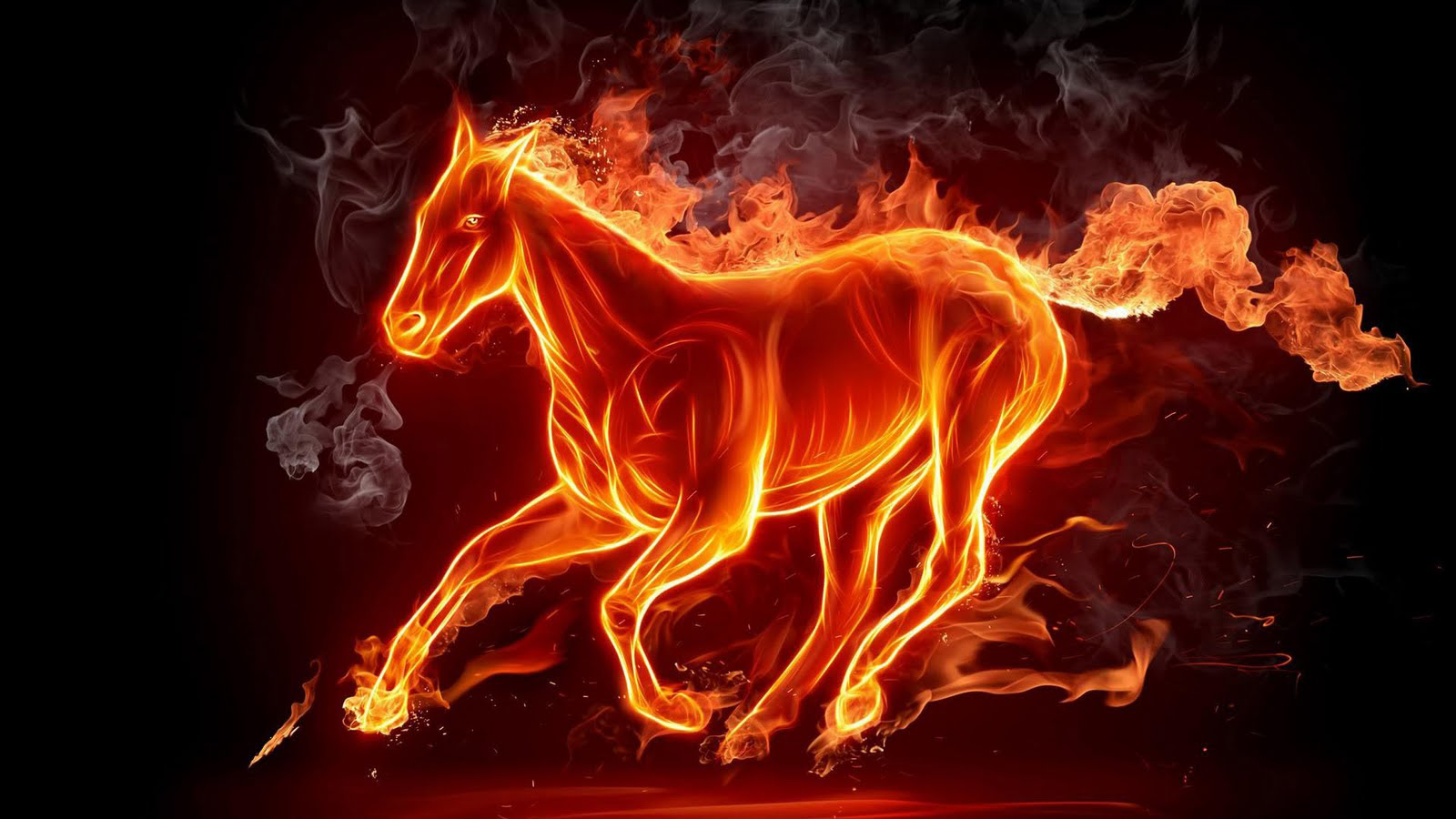 Fire horse wallpapers