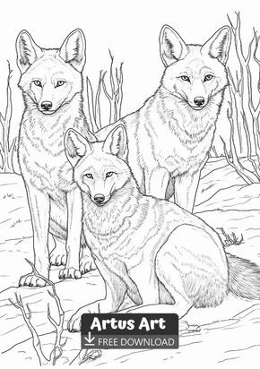 Jackals coloring page for kids