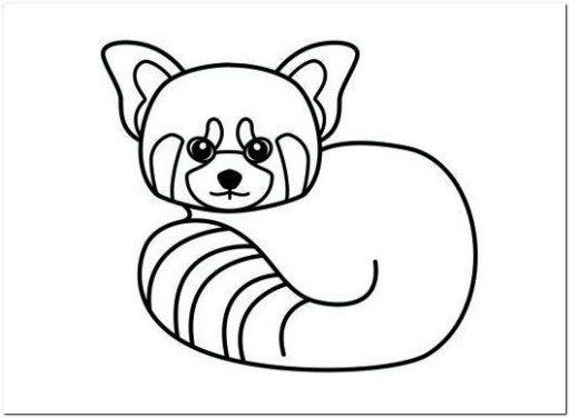 Baby red panda coloring page red panda baby panda coloring pages red panda